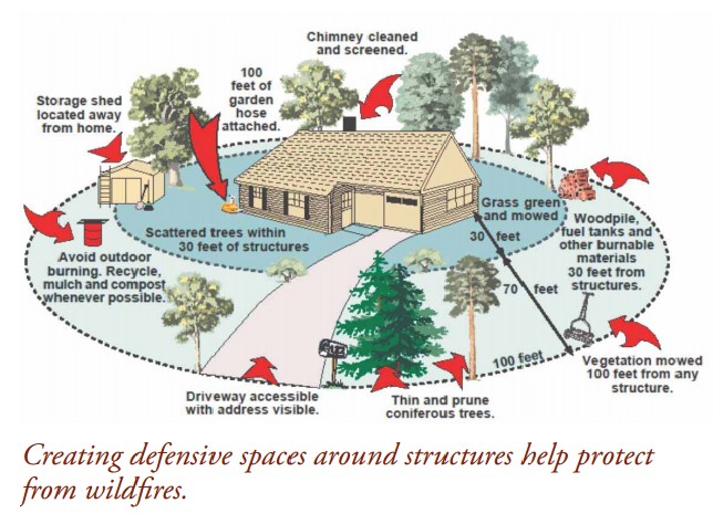 Defensible space